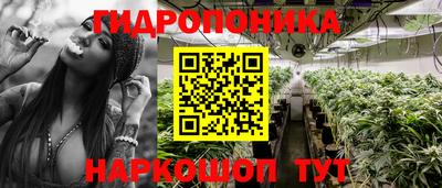 mdpv Гатчина