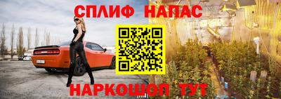 молекула духа Гагарин