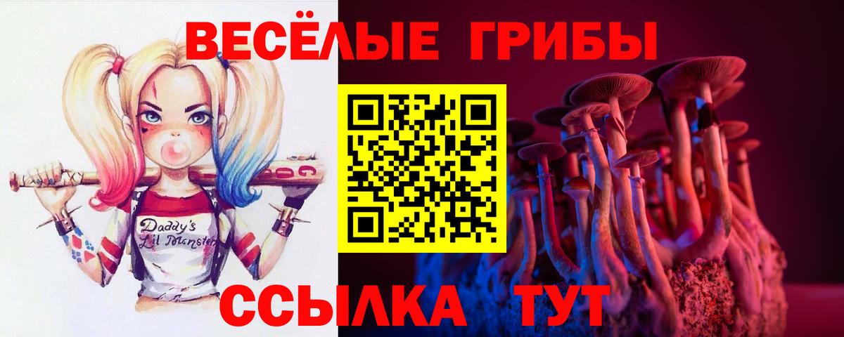 Кумертау  Галлюциногенные грибы Cubensis  Галлюциногенные грибы мицелий  Вход с VPN 